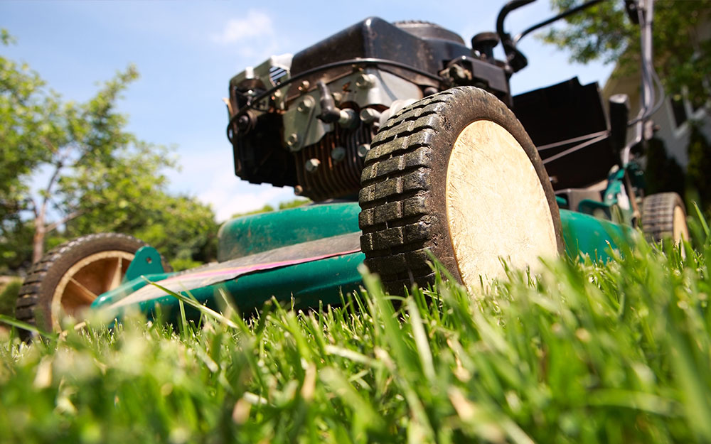 Lawn mower cutting grass